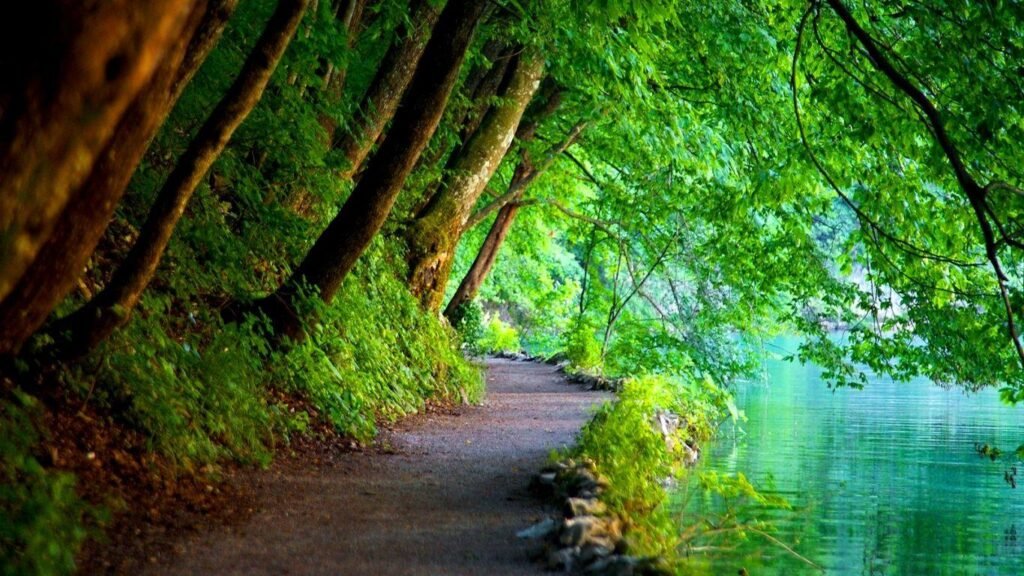 Nature Wallpaper