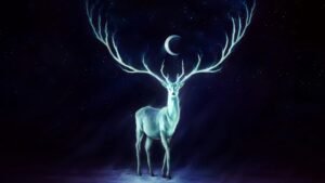 wildlife HD wallpapers