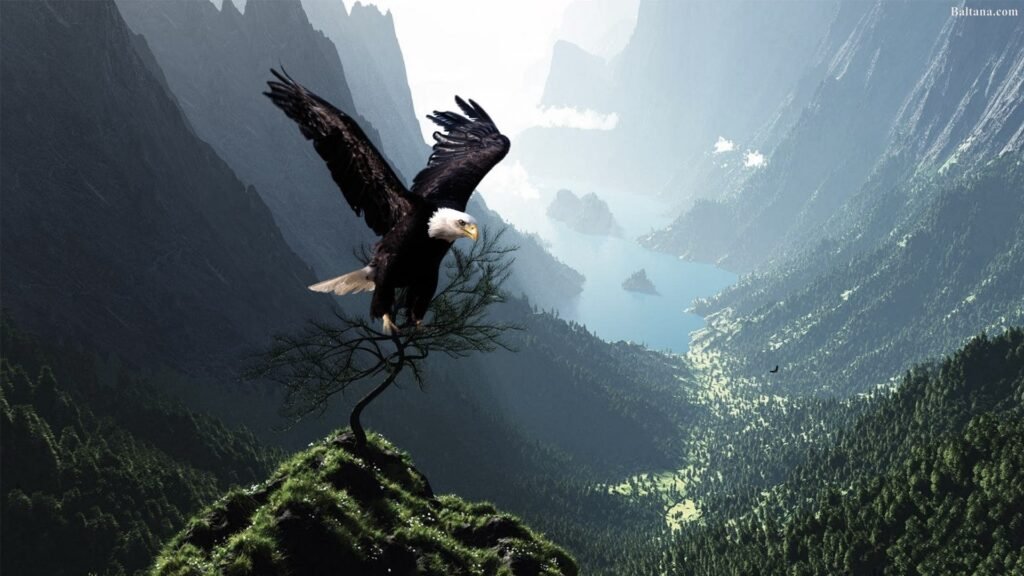 flying eagle wallpapers