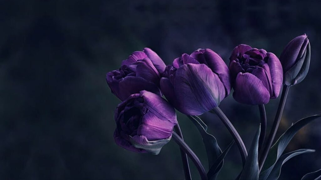 flower desktop wallpapers
