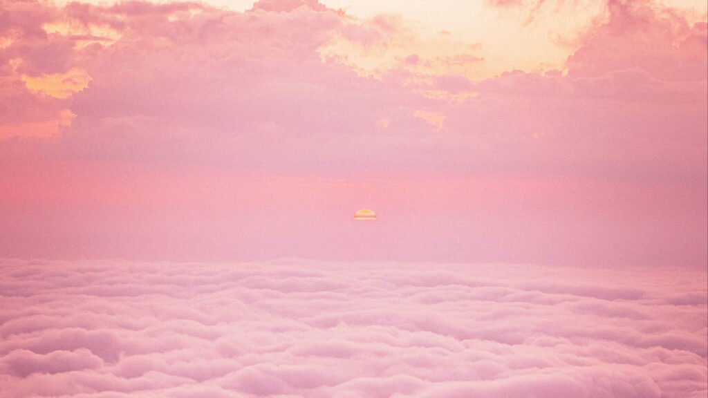 pastel pink wallpapers