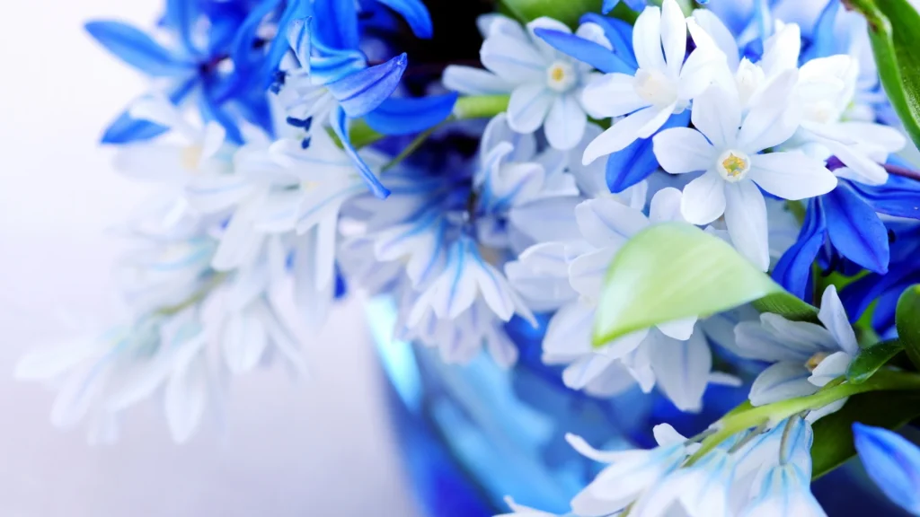 flower photography wallpapers