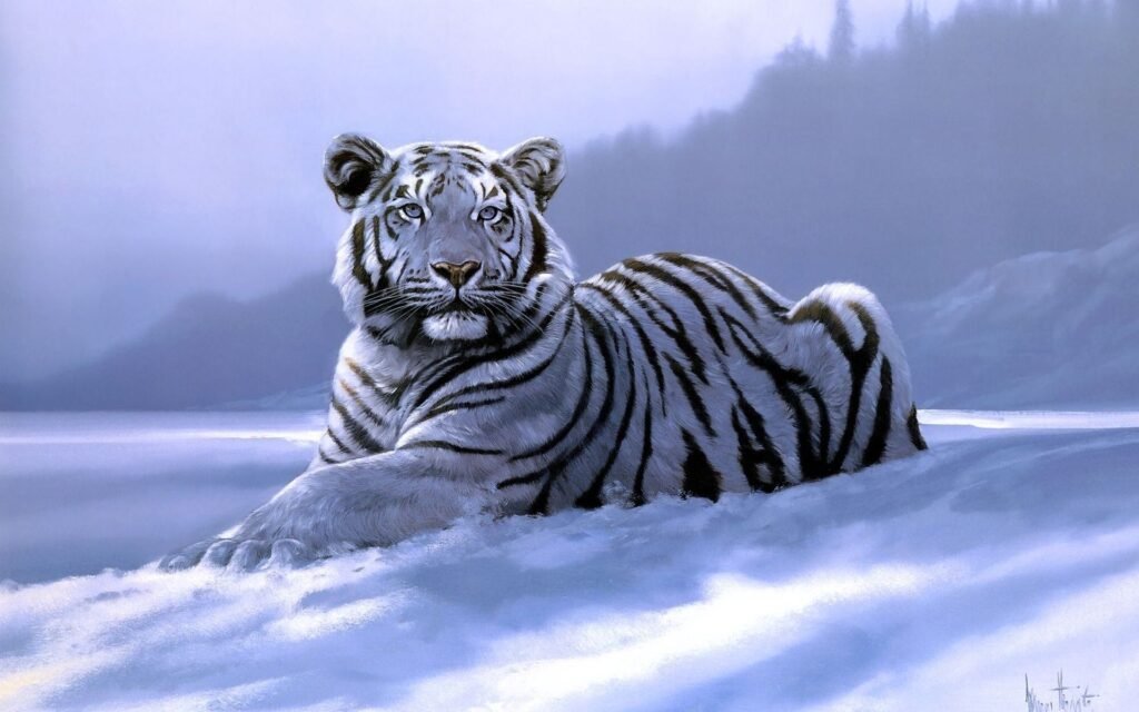 white tiger wallpapers