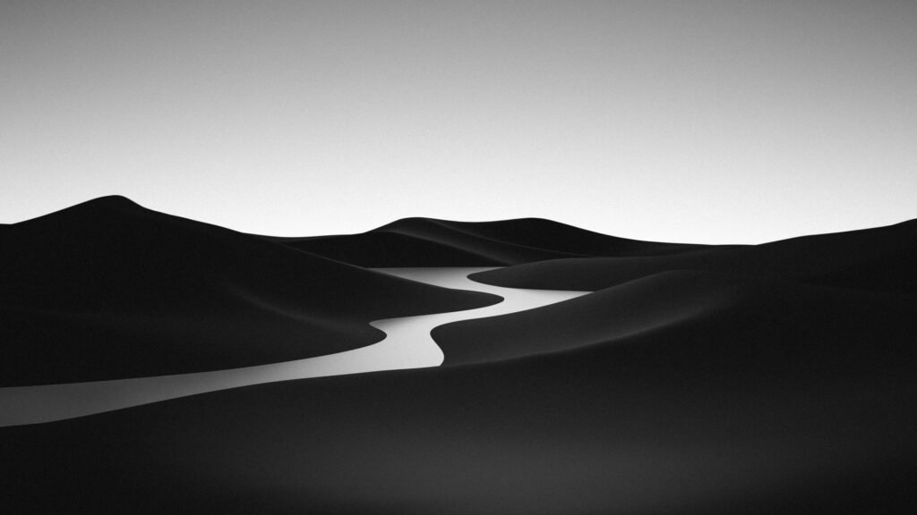 black and white nature wallpapers