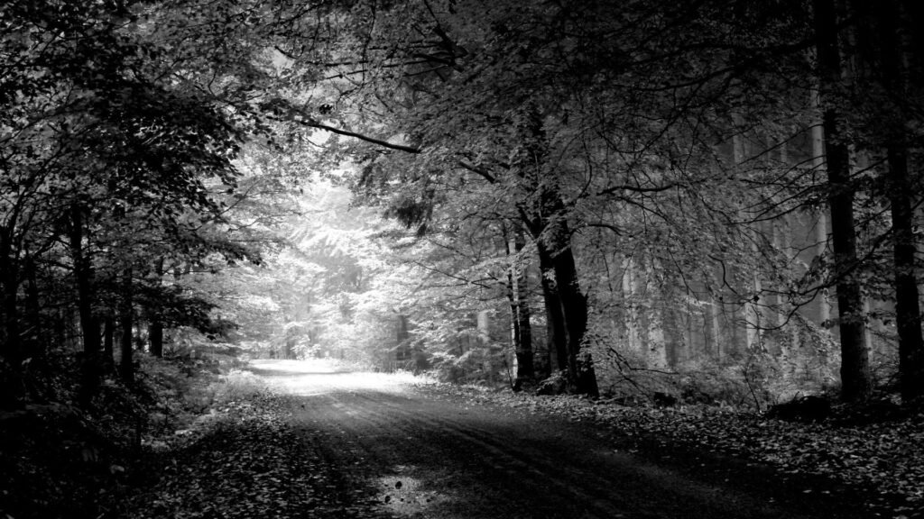 black and white backgrounds