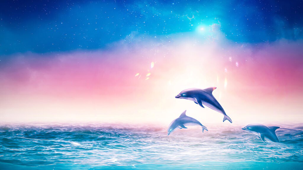 wild dolphin wallpapers