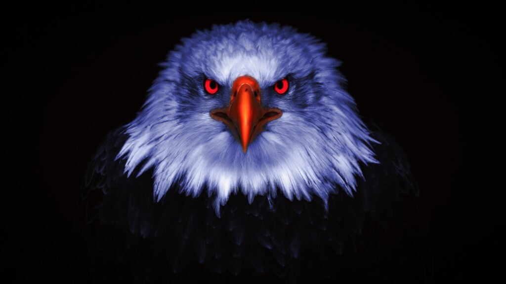 bald eagle wallpapers