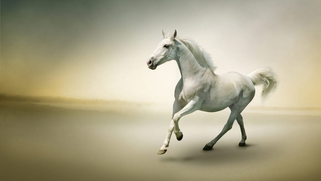 free horse wallpapers