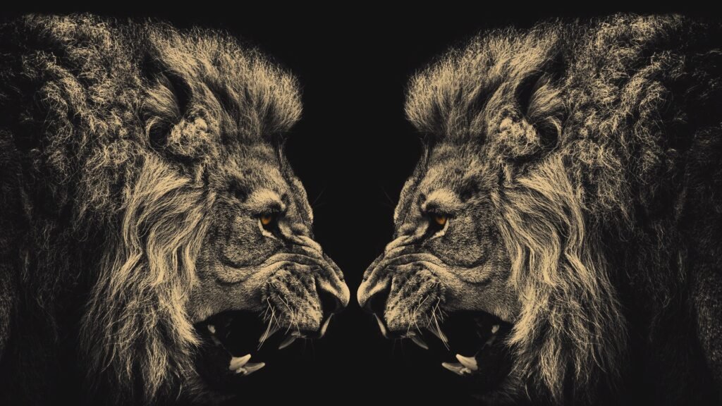 lion background