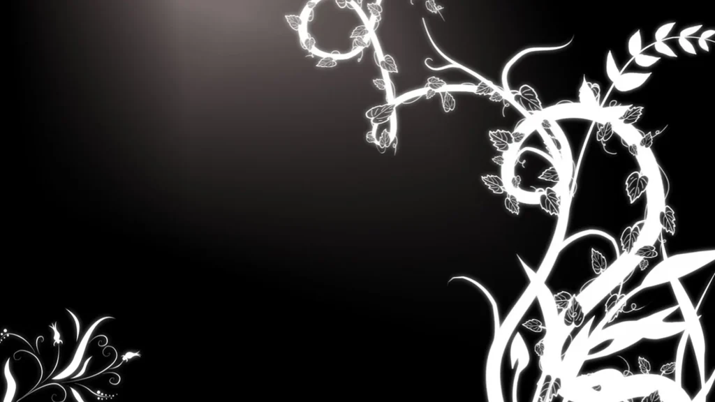 black and white HD wallpapers
