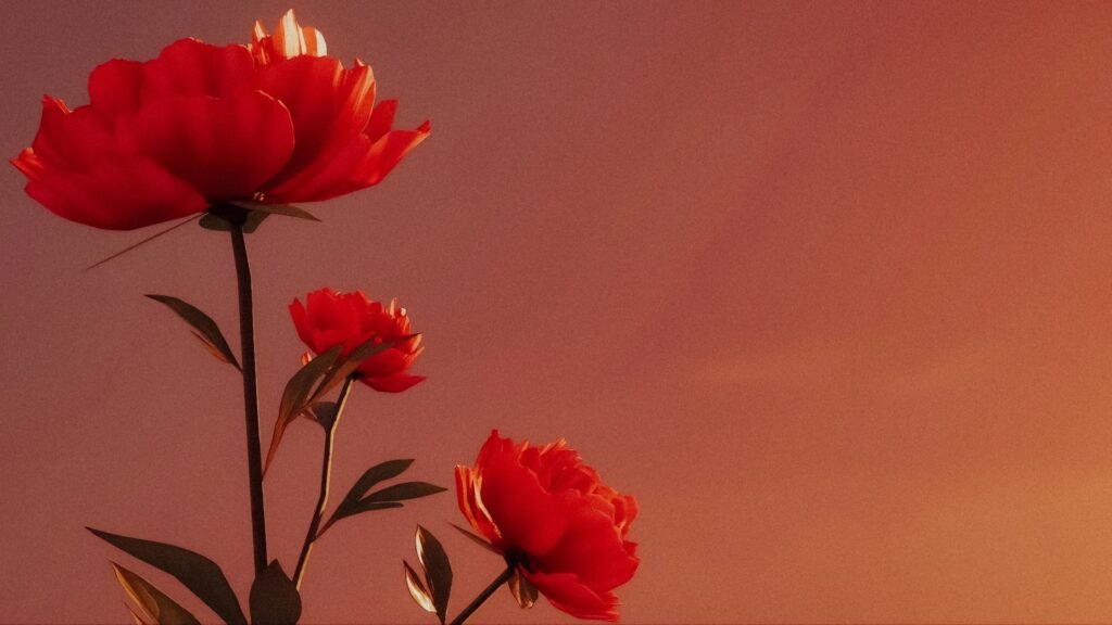 beautiful red flowers