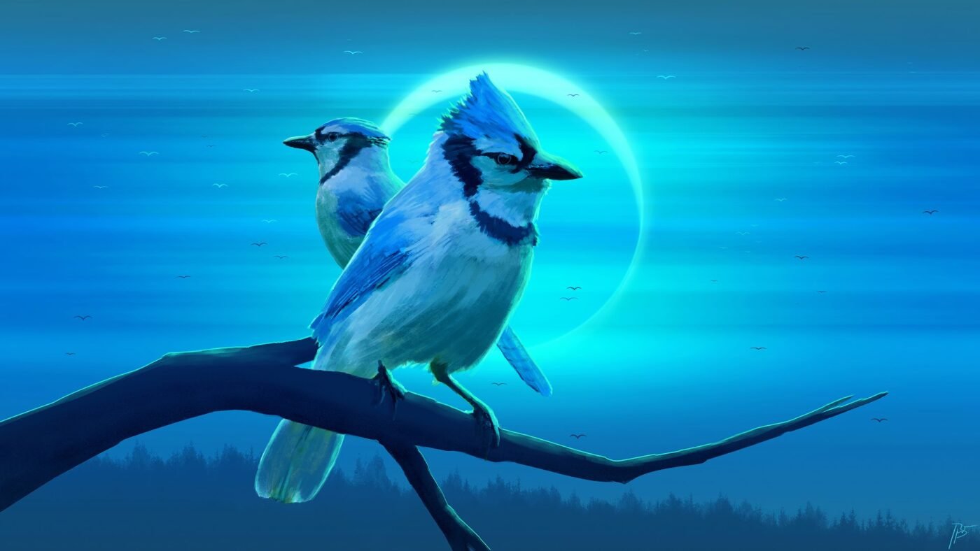 bird images download