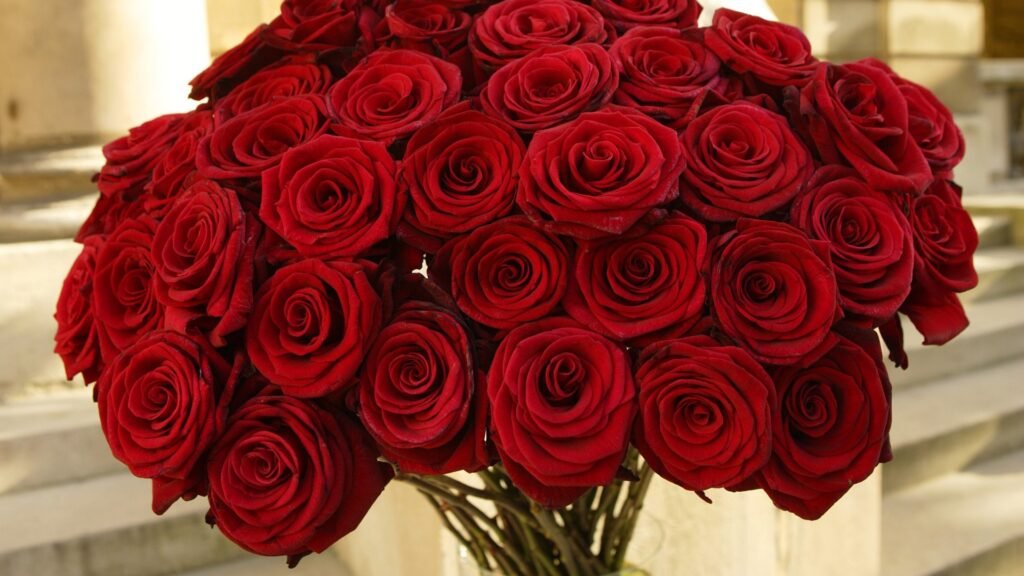 red flowers in nature