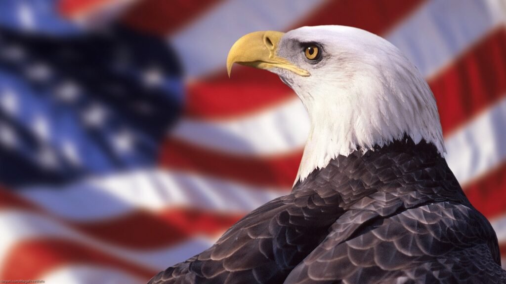 high resolution eagle wallpapers