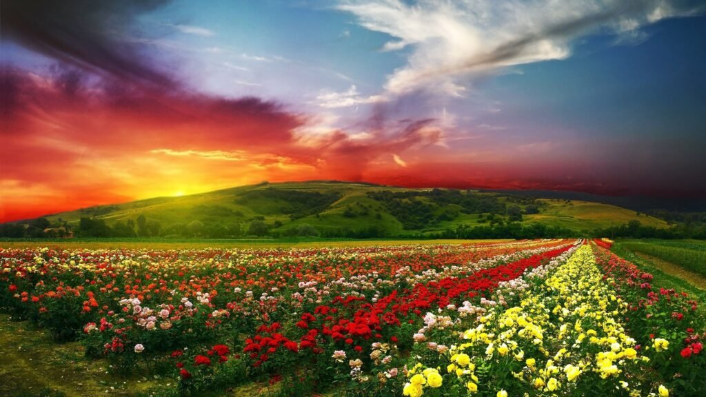 flower garden wallpapers