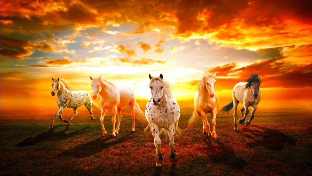 horse wallpapers for phone