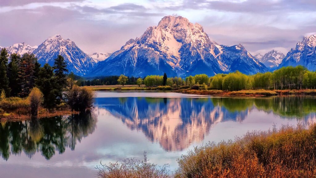 mountain forest wallpapers