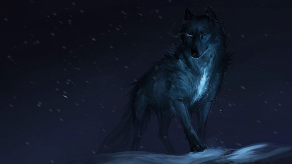 wolf nature wallpapers